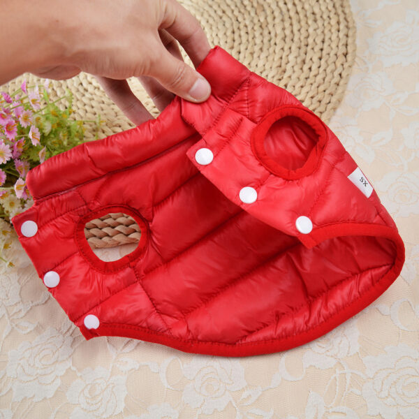 c4a65cc3-575b-49b7-bf1e-a61aba8c4a27.jpg